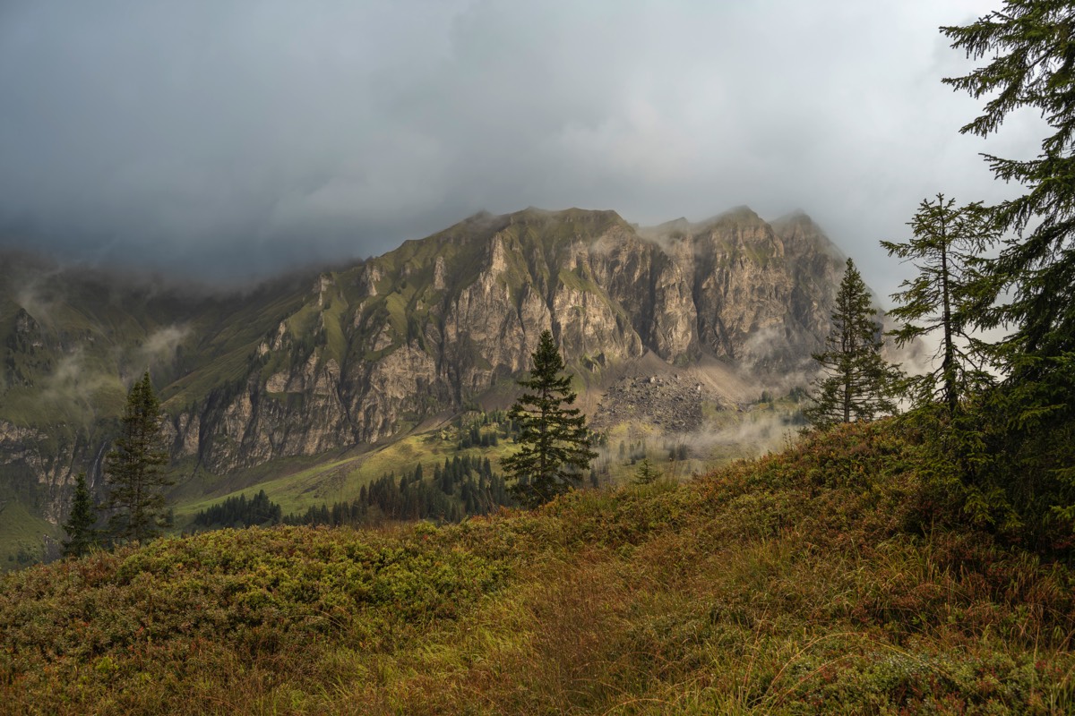 Stacks Image 625