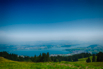 _DSC5916