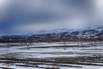 _ZUE2117