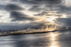 _ZUE2444